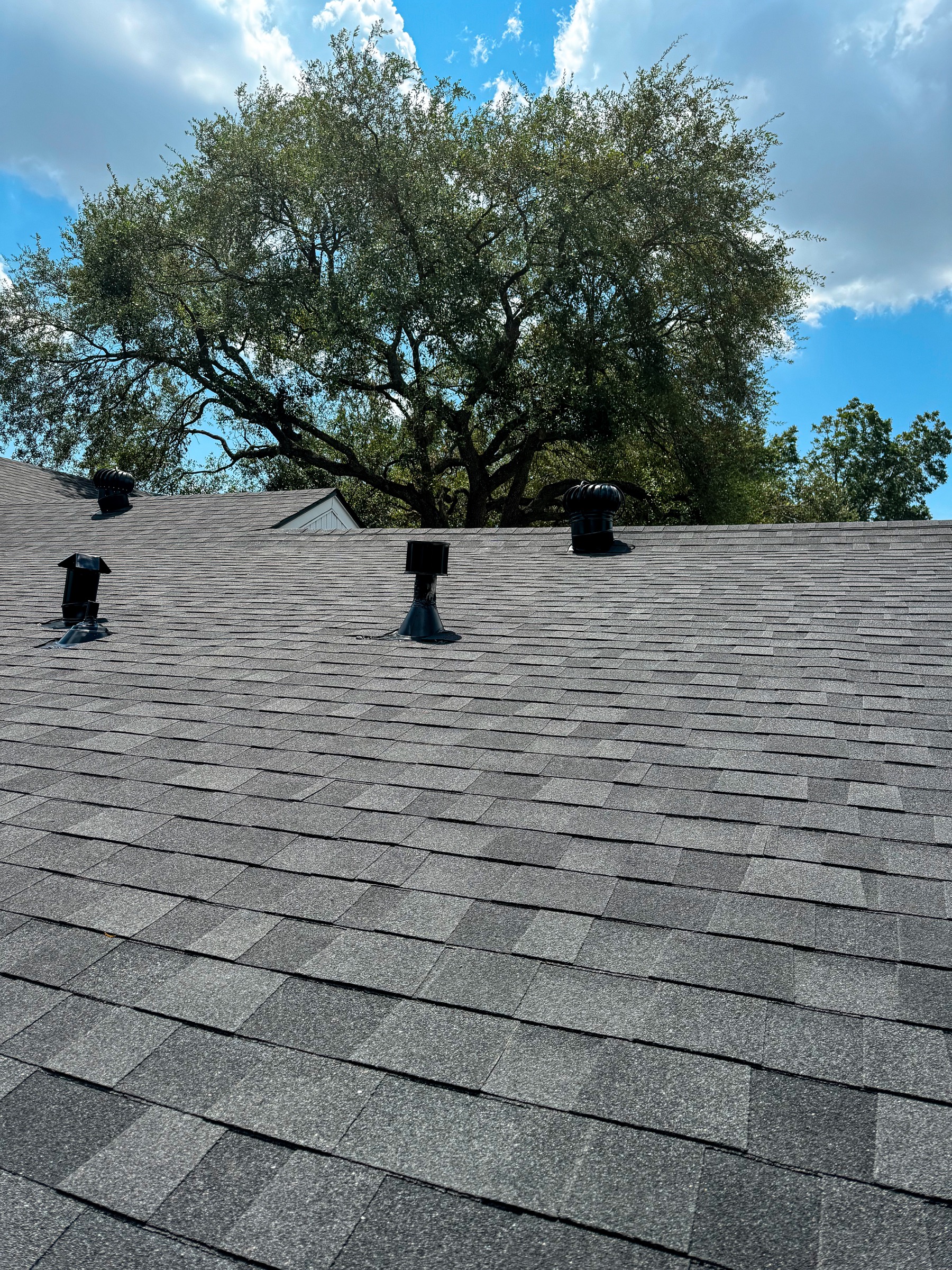 Pasadena home roofline with new gray shingles under a large tree